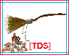 [TDS]Flying Broom