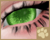 ~AM~ Urlop Eyes v4