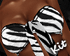 Zebra Bikini RXL