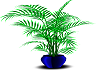 flashy fern in blue
