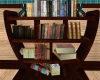 Envy Bookcase