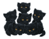 BLACK KITTYs ANIMATED