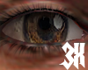 3x Asteri Eye Hazel
