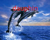 room dauphin