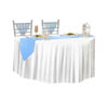 BLUE WEDDING COUPLE TABL