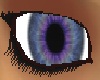 Purple blue eyes F