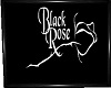Black Rose Pic