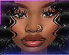 • Face 13 (NL) •
