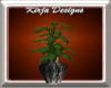 KD~LeafyGreen FloorPlant