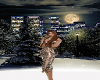 Winter City Park BD