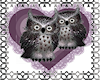 owl heart
