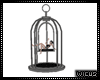 Wicus~ Bird Cage Dance