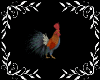 🐓 Rooster ANIMATED