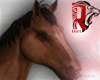 🦁 PET HORSE