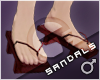 TP Samurai - Sandals