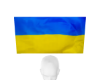 Ukraine head flag