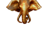 Elephant gold1