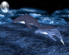 Dj Light  Whale Animated