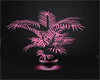 *LRR* pink plant