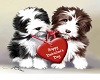 Valentine Puppies