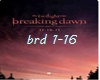 Twilight-Breaking down