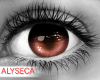 Aly! Saber eyes
