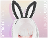 ❄ Cutie Bunny Ears 4