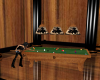 (mc) Country pool table