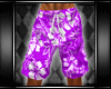 ~CK~Tropic Shorts Purple