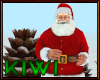 Santa claus NPC