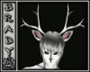 [B]pure antlers