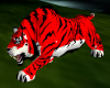 Tiger Red