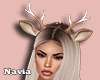 CHRISTMAS BUNDLE