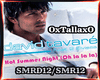 TA | SummerNight+Dmixte