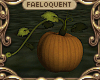 F:~ Pumpkin 02