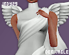 <J> Drv Angel Drape 02