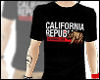 California Republic. II