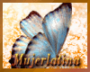 [ML]Add Butterflies