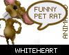 [WH] Funny Pet Rat