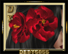 {DY} Hair Roses Red