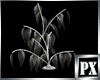 [PX]Diamond Club Plant