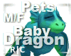 R|C Baby Dragon Blue MF