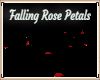 ZY: Falling Rose Petals