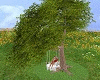 Tree Swing [H]