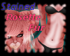 Rosette Museka Fur F