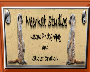 meerkat studio frame