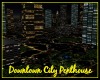 Downtown City Penthouse