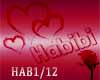 Habibi I Love You