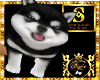 HUSKY BLACK&WHITE