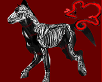 Wolf (Bones)